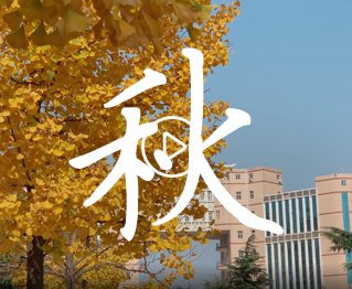+86-0371-62508666版